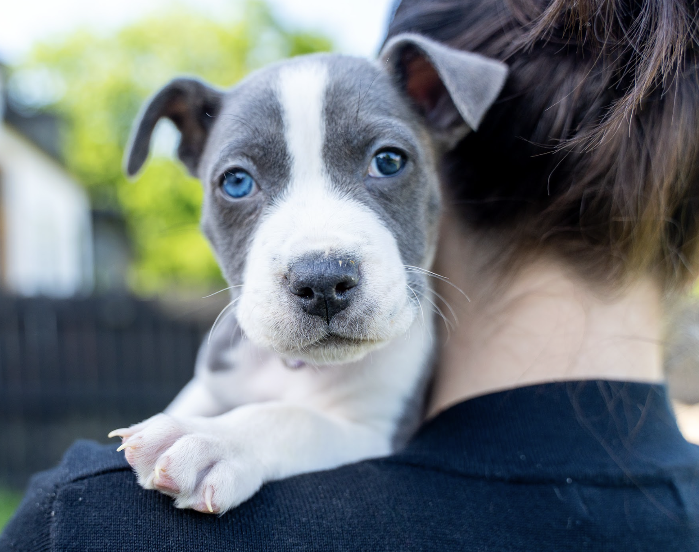 Screenshot 2026-04-23 at 2.17.25 PM.png