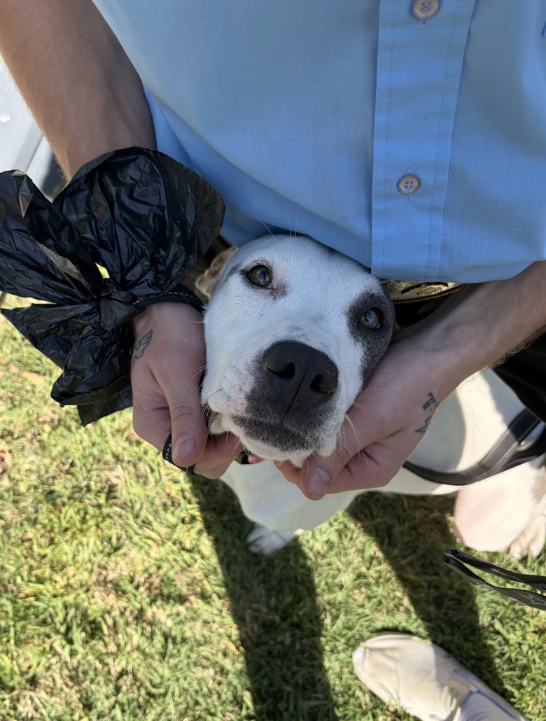 Screenshot 2026-04-22 at 6.14.00 PM.png