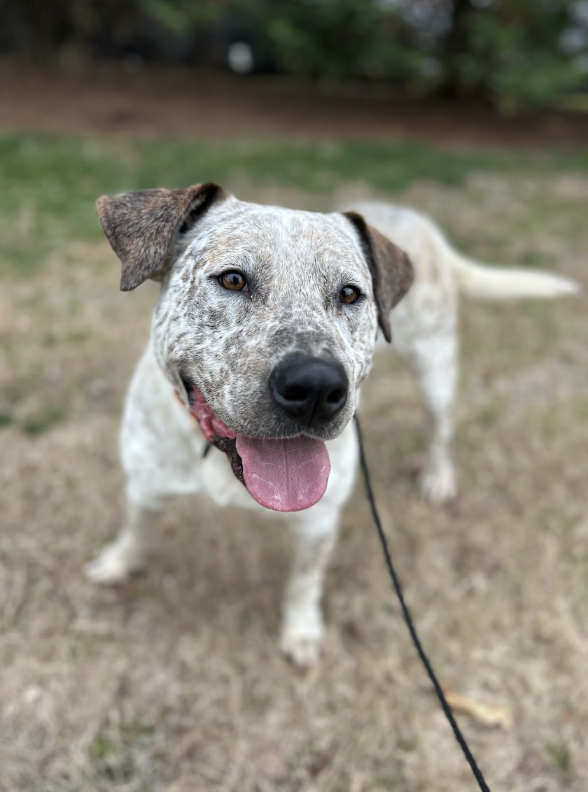 Screenshot 2026-03-10 at 9.24.09 PM.png