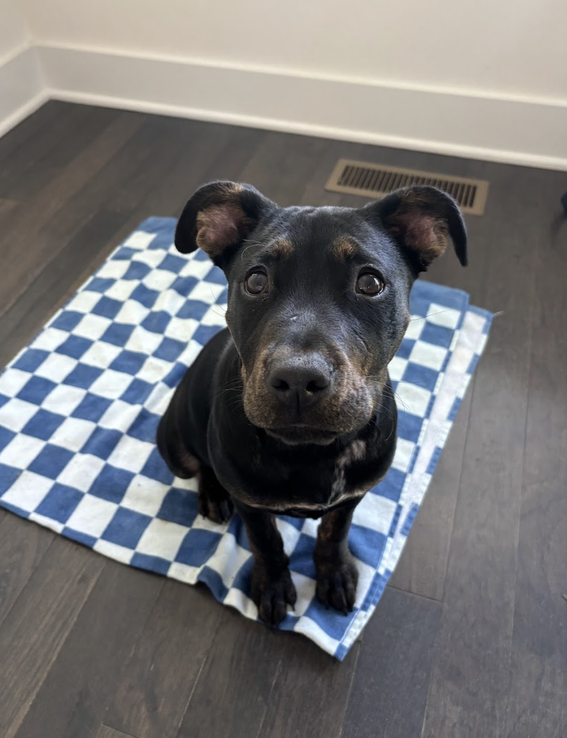 Screenshot 2026-04-23 at 8.12.36 PM.png