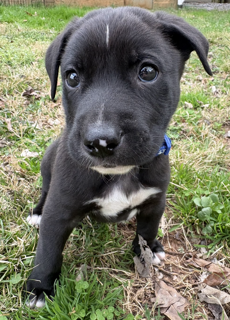 Screenshot 2026-03-20 at 2.56.27 PM.png