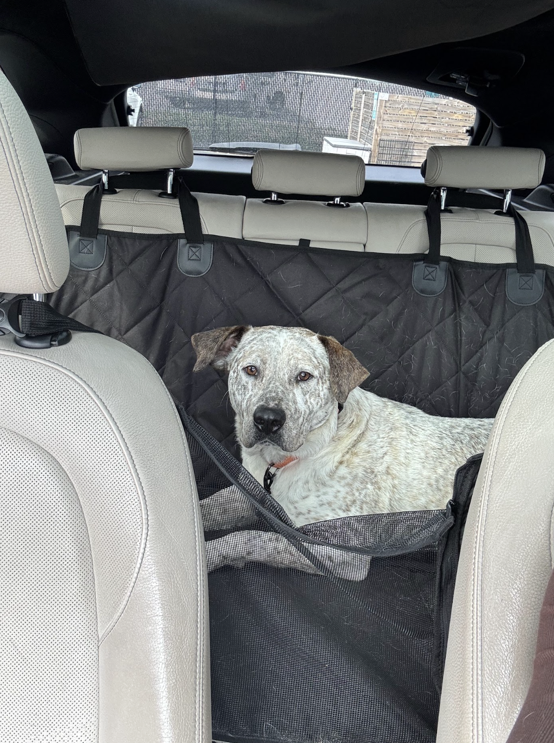 Screenshot 2026-03-10 at 9.23.34 PM.png