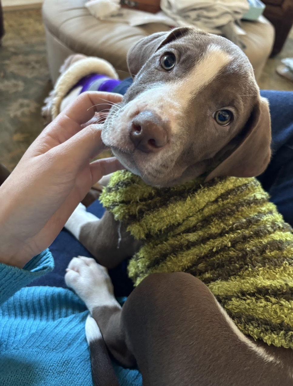 Pepsi, The Soda Litter