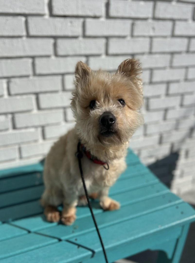 Screenshot 2026-03-11 at 8.25.18 PM.png