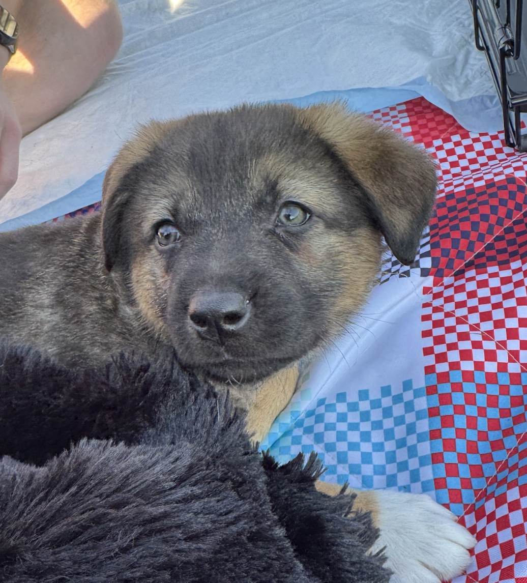 Screenshot 2026-03-05 at 6.09.49 PM.png