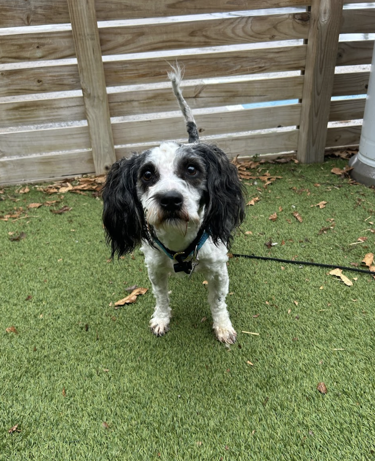 Screenshot 2026-04-01 at 6.15.34 PM.png