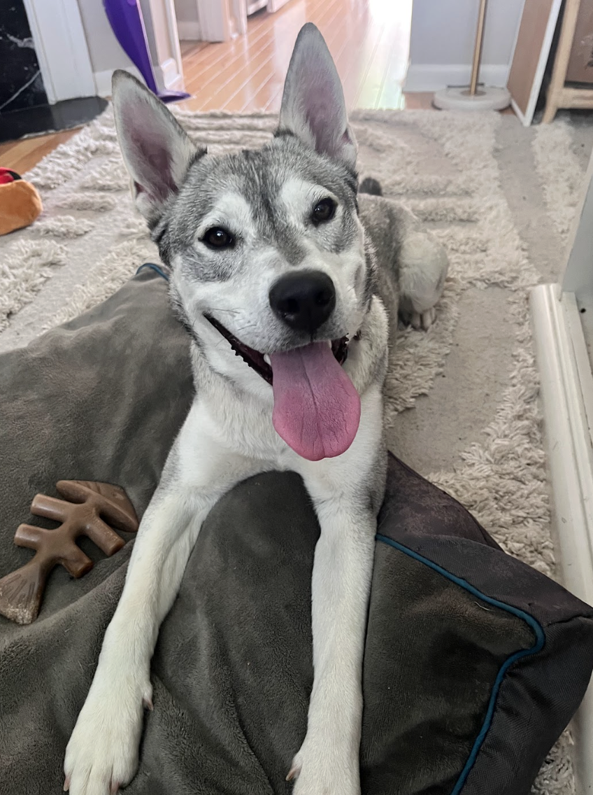 Screenshot 2026-04-20 at 8.11.08 PM.png