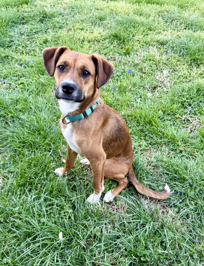 Screenshot 2026-04-13 at 2.55.31 PM.png