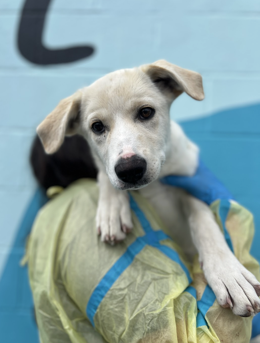 Screenshot 2026-04-14 at 2.58.23 PM.png