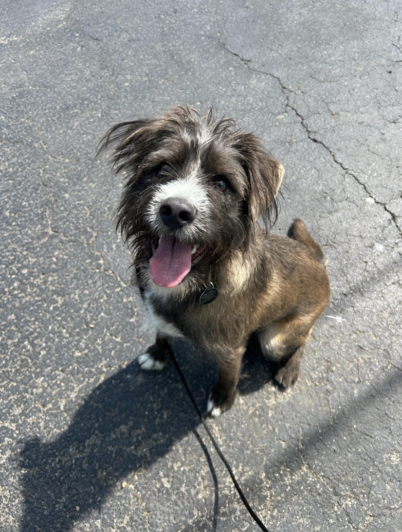 Screenshot 2026-03-26 at 2.29.00 PM.png