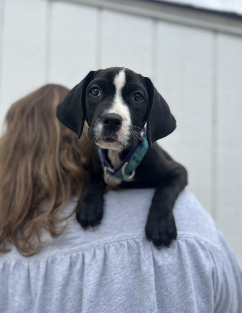 Screenshot 2026-02-20 at 2.13.26 PM.png