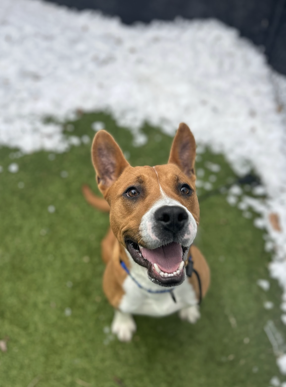 Screenshot 2026-02-16 at 6.57.47 PM.png