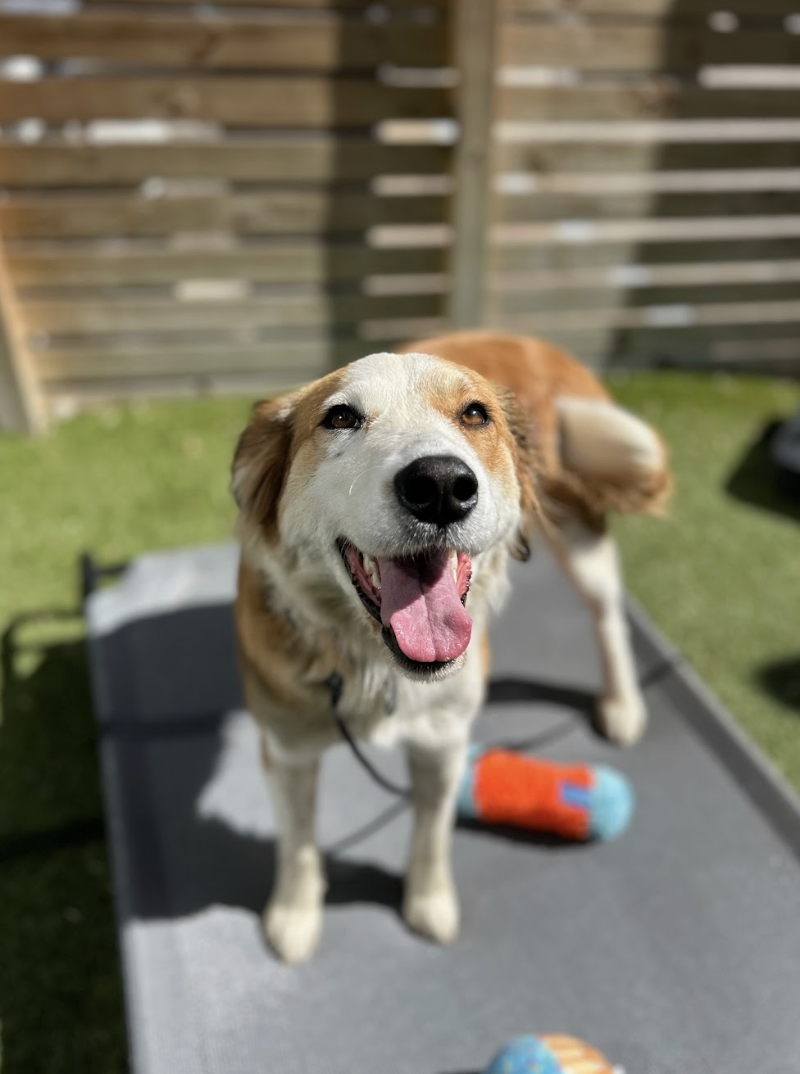 Screenshot 2026-03-14 at 5.01.51 PM.png