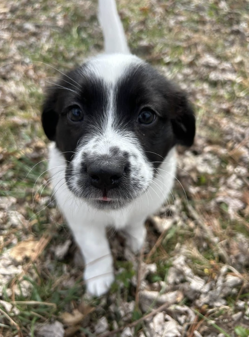 Screenshot 2026-03-10 at 8.51.21 PM.png