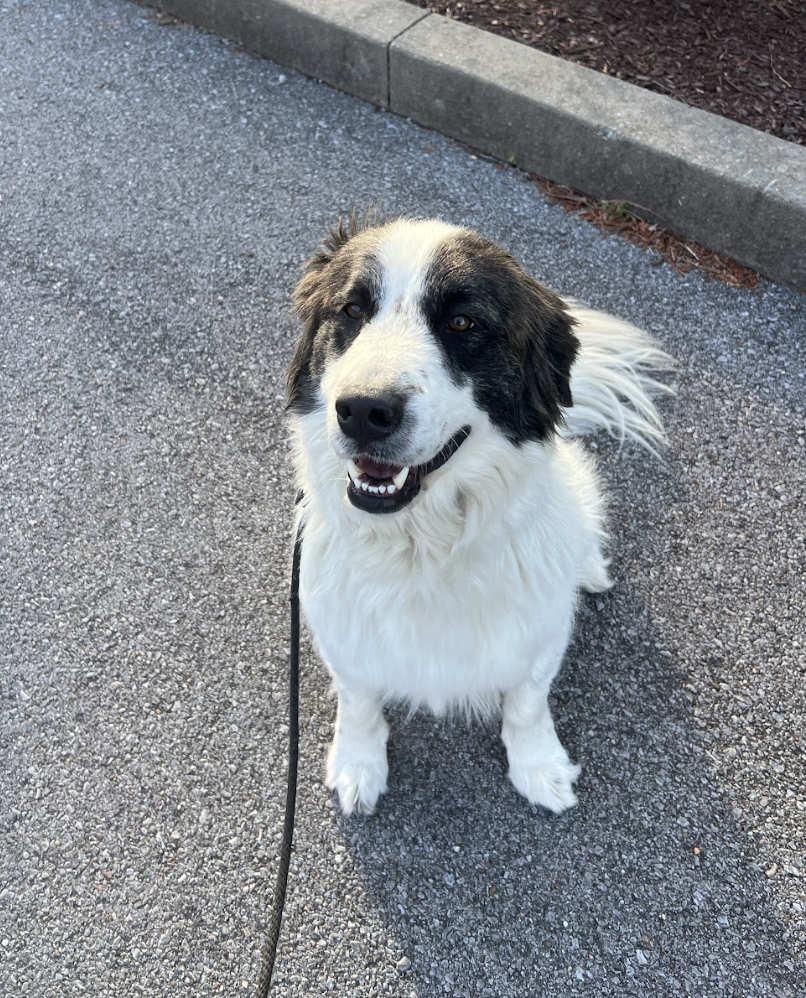 Screenshot 2026-01-25 at 10.07.32 AM.png