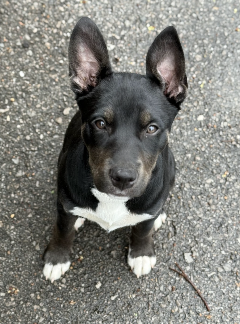 Screenshot 2026-03-12 at 3.31.58 PM.png