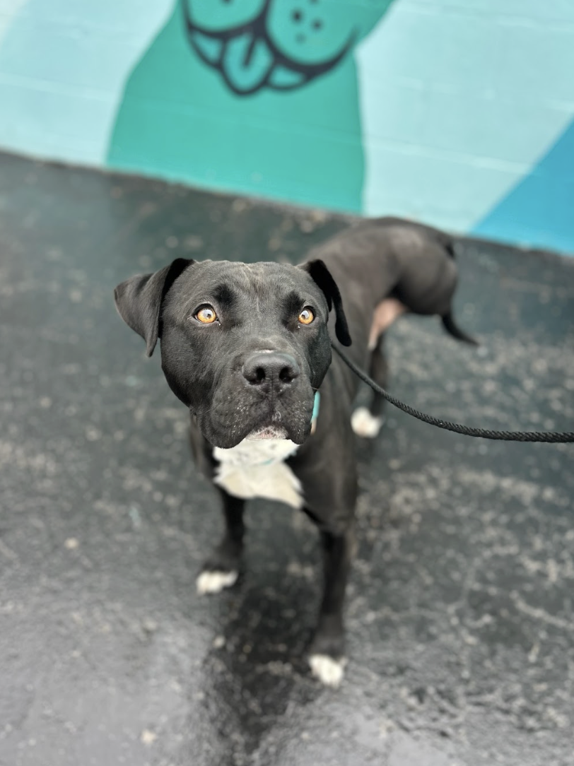 Screenshot 2026-01-14 at 3.43.33 PM.png