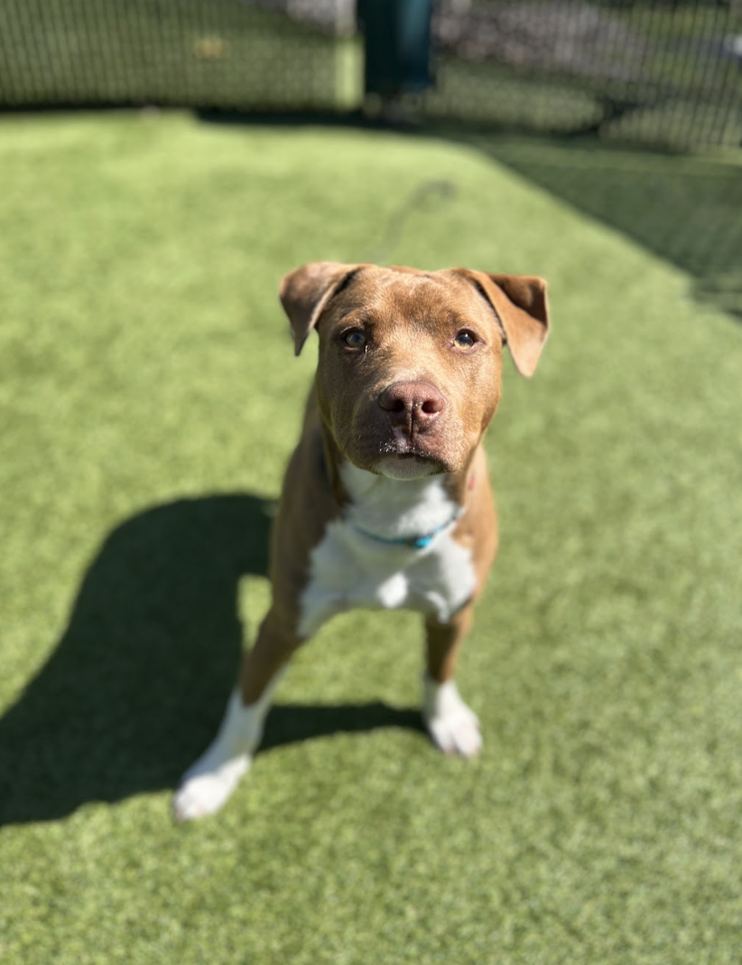 Screenshot 2026-03-20 at 2.31.16 PM.png