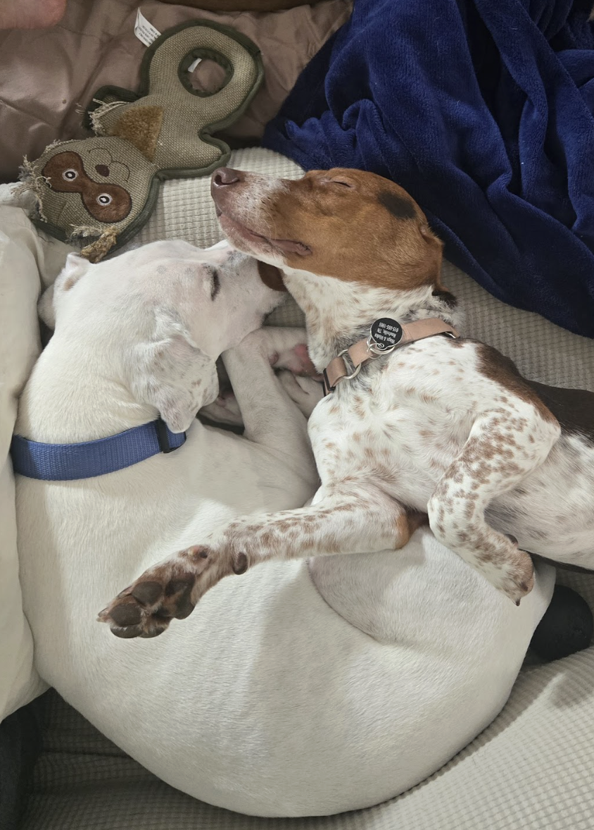 Screenshot 2026-01-14 at 9.26.49 PM.png