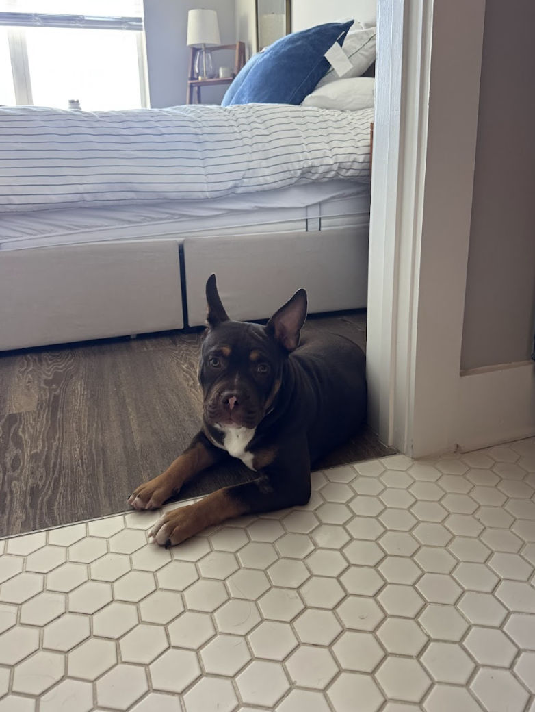 Screenshot 2026-03-24 at 12.17.48 PM.png