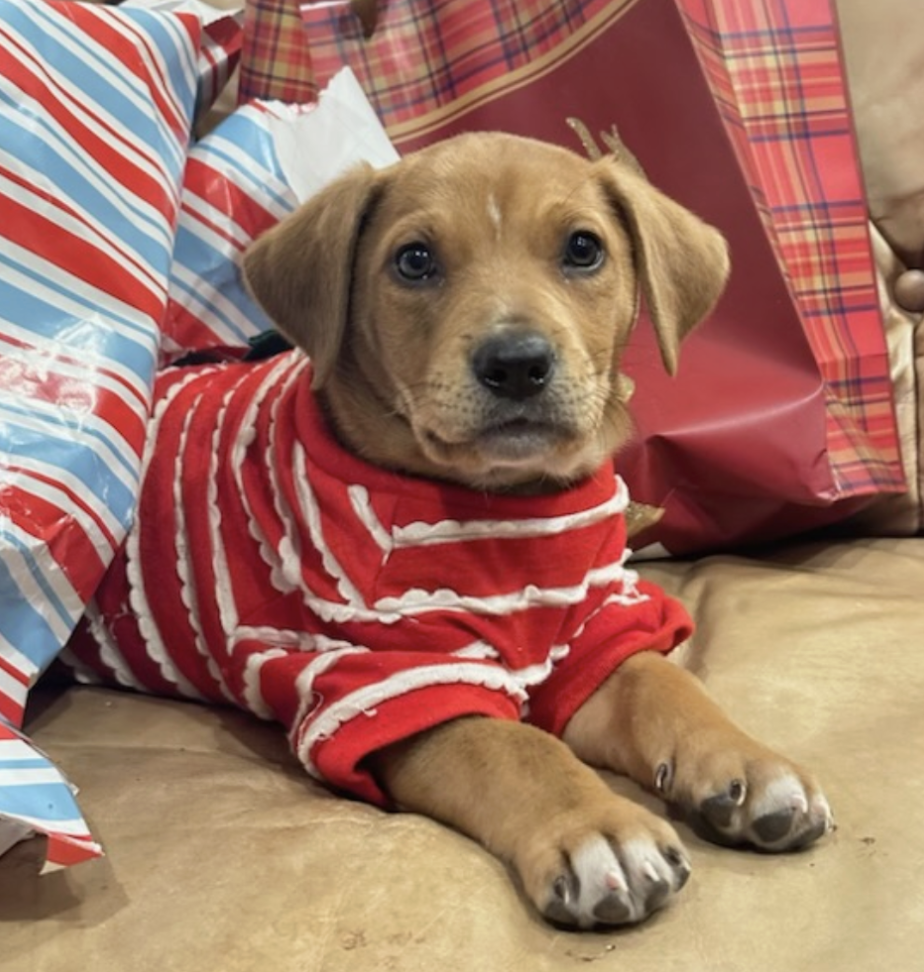 Screenshot 2026-01-03 at 6.50.53 PM.png