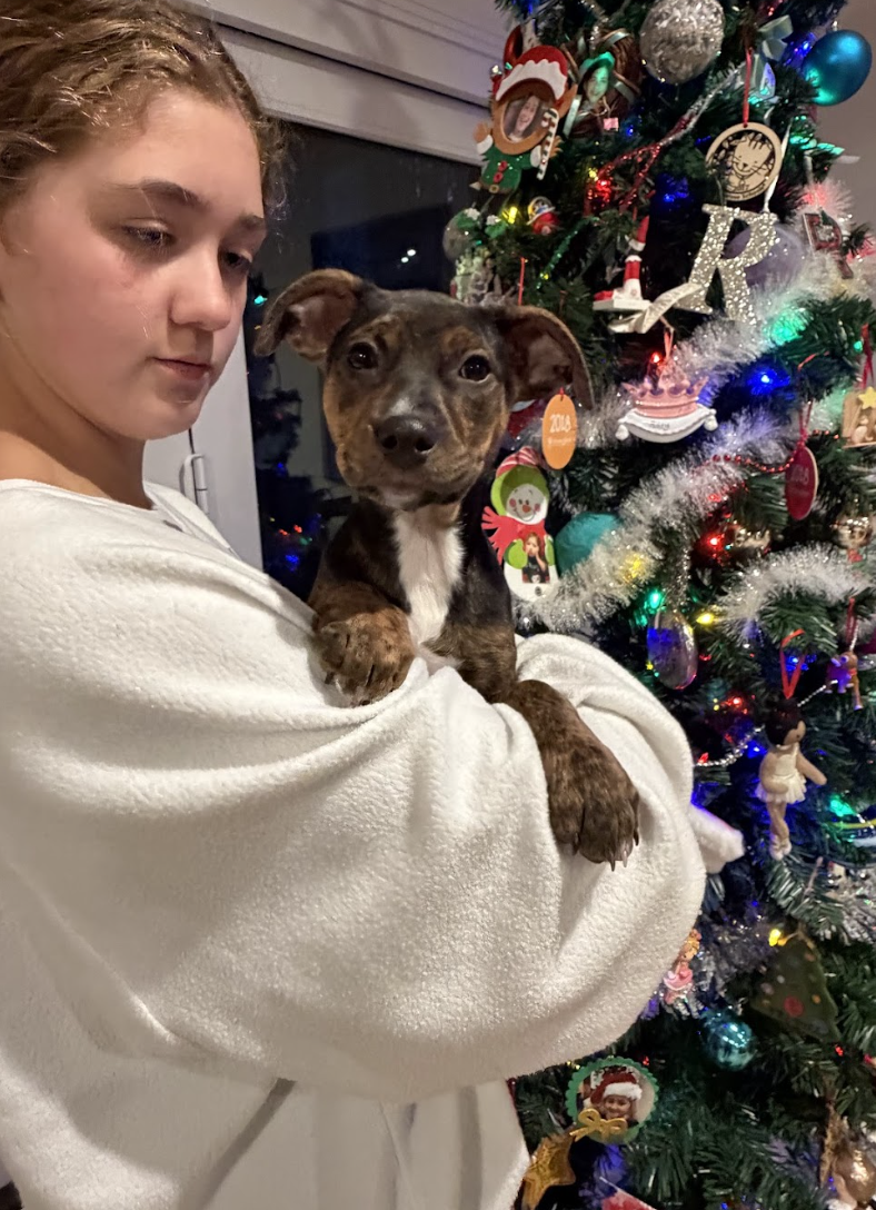 Screenshot 2026-01-08 at 1.49.53 PM.png