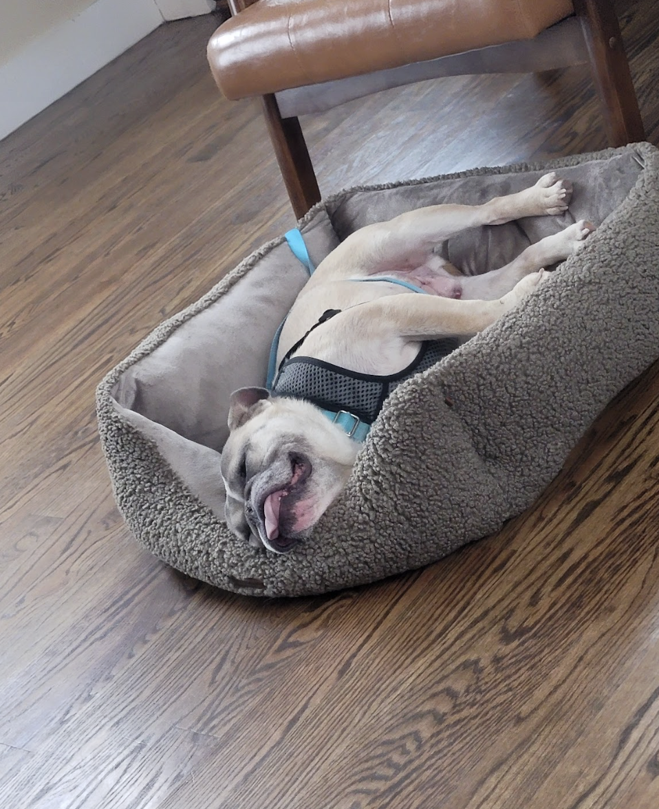 Screenshot 2026-02-16 at 6.12.04 PM.png