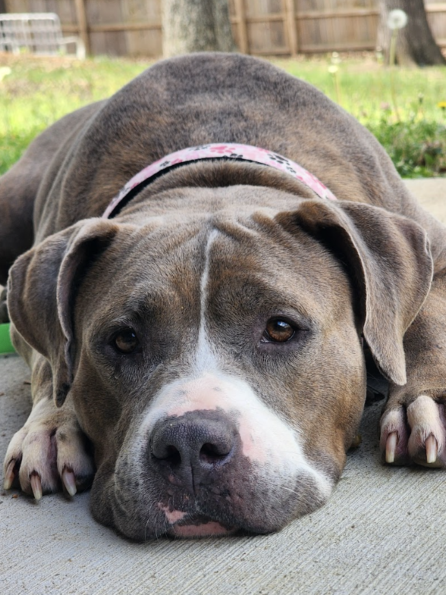 Screenshot 2026-04-13 at 3.02.35 PM.png