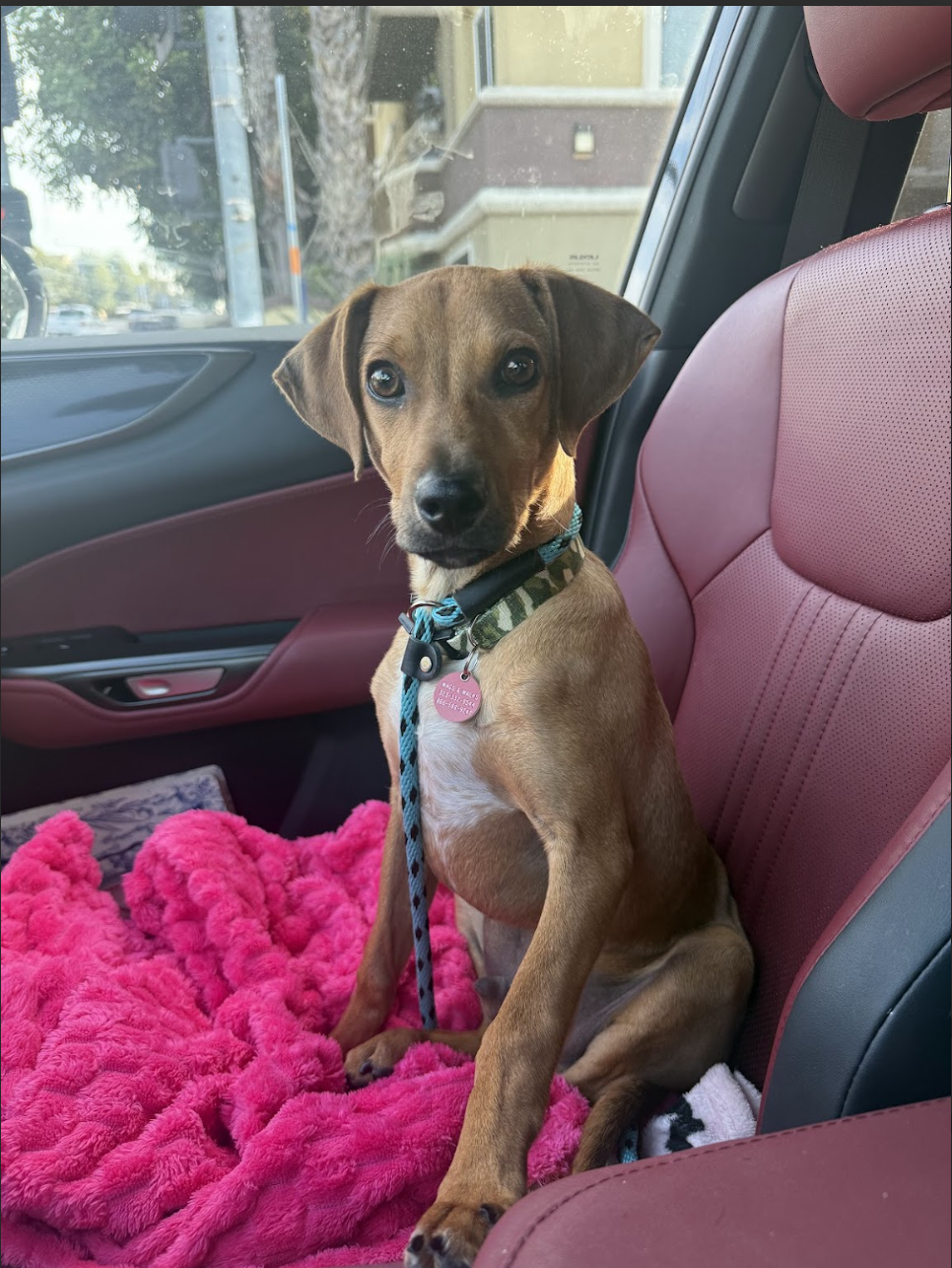 Screenshot 2025-12-26 at 11.15.08 AM.png