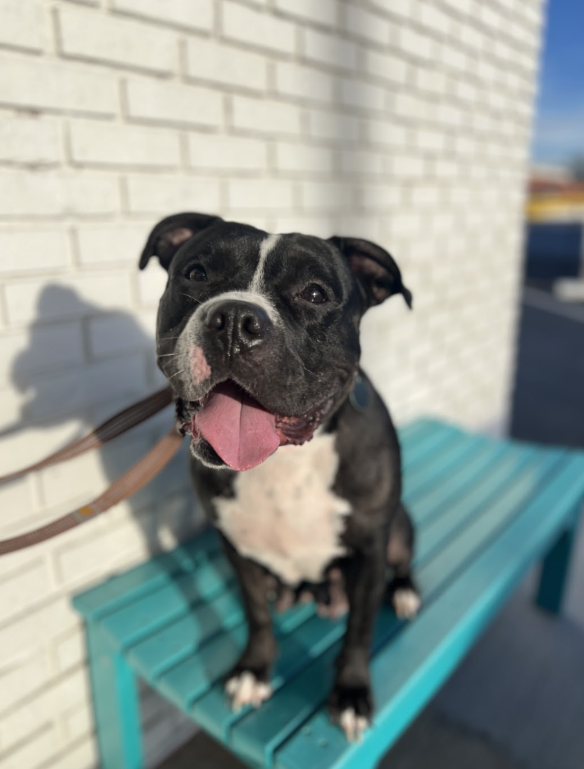 Screenshot 2026-01-09 at 10.26.54 AM.png