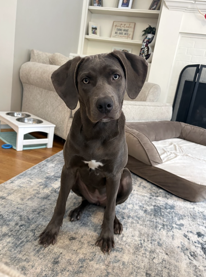 Screenshot 2026-01-24 at 3.28.08 PM.png