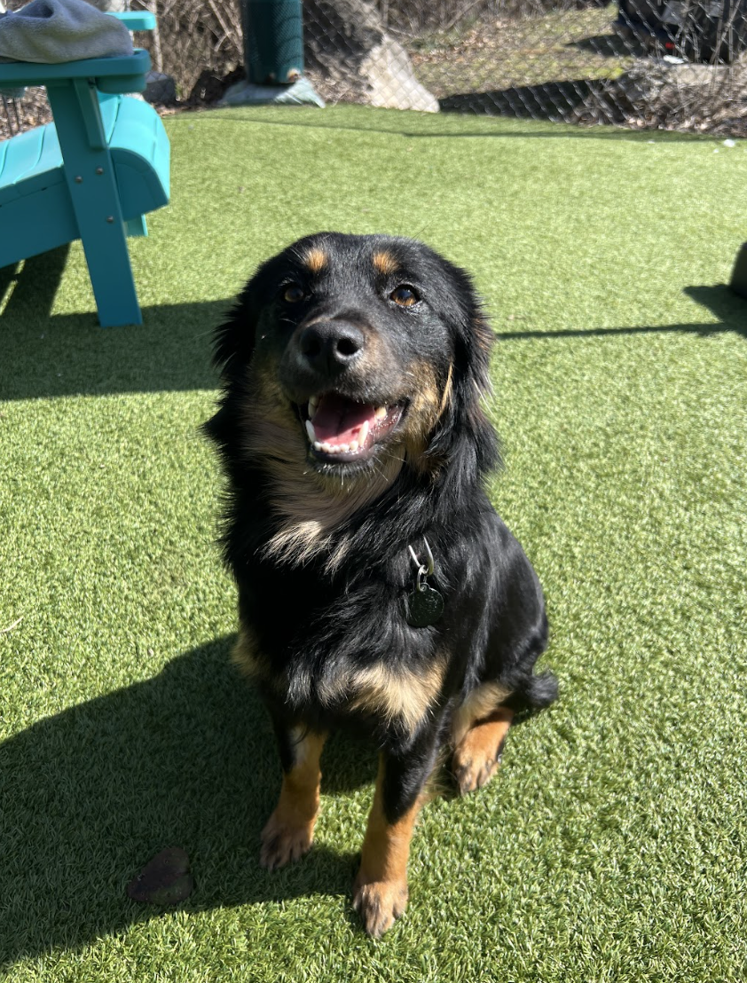 Screenshot 2026-02-12 at 2.05.31 PM.png