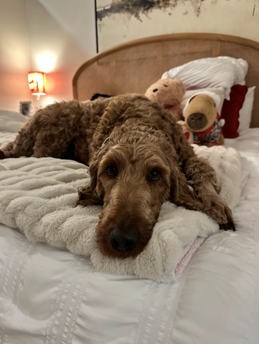 Screenshot 2026-04-08 at 3.51.20 PM.png