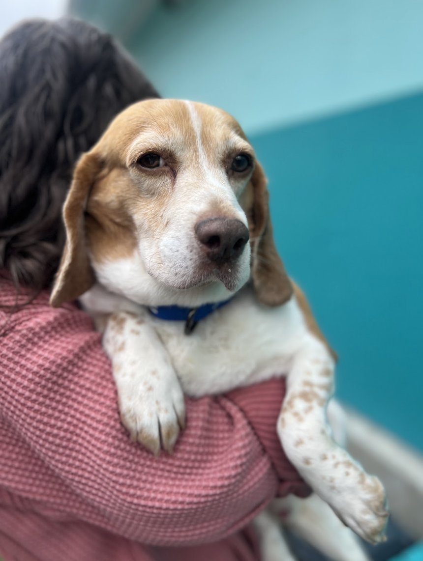 Screenshot 2026-03-11 at 6.31.36 PM.png