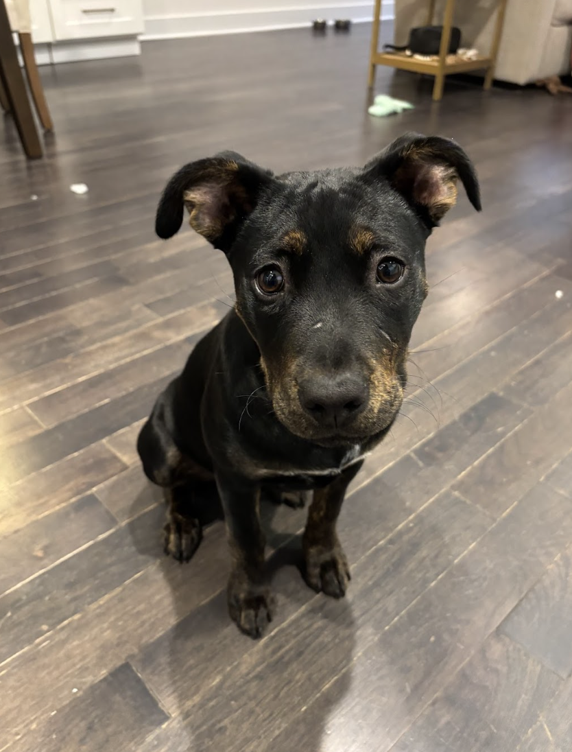 Screenshot 2026-04-23 at 8.12.40 PM.png