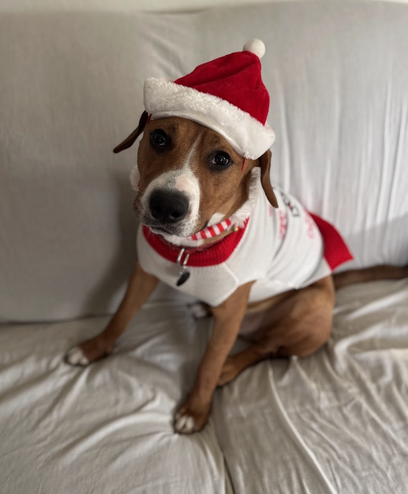 Screenshot 2026-01-14 at 9.07.18 PM.png