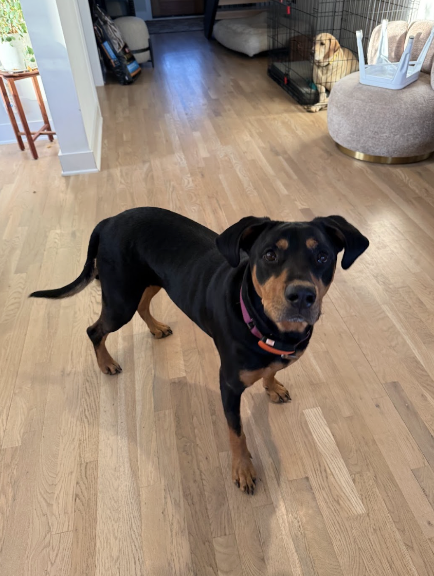 Screenshot 2026-04-03 at 3.12.06 PM.png