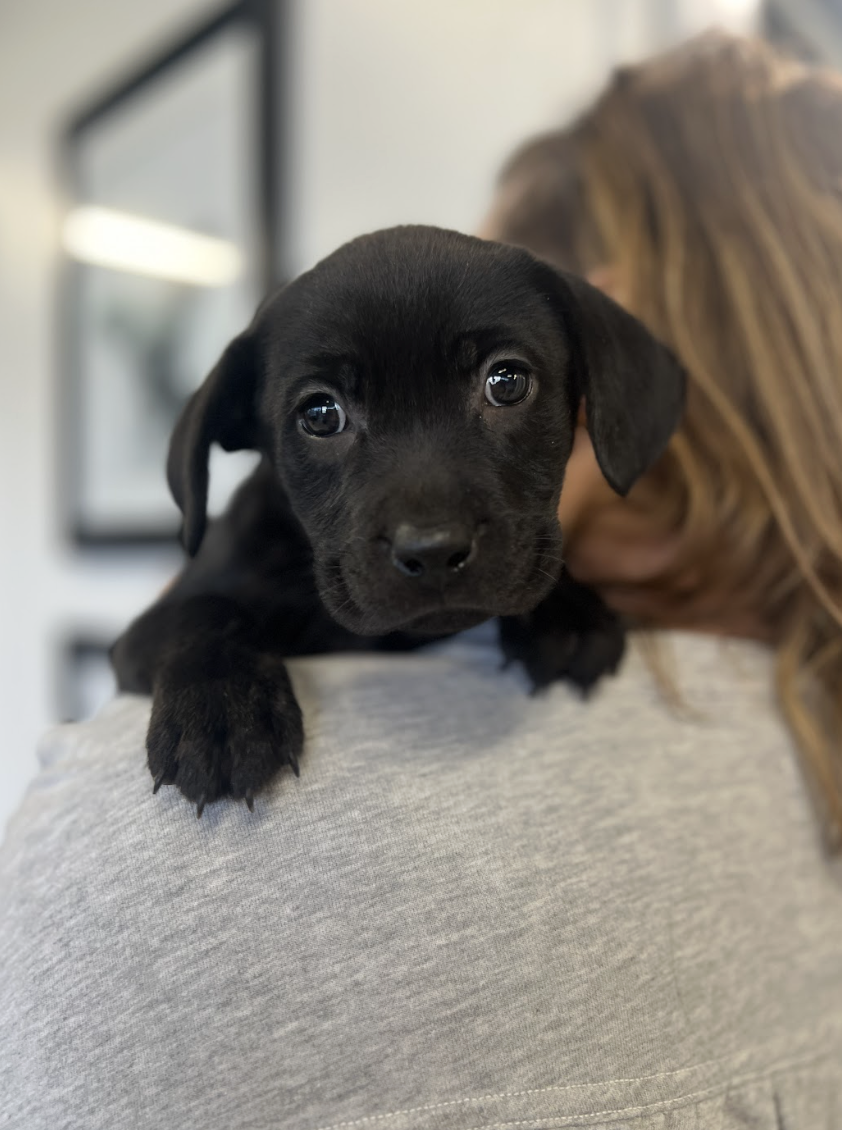 Screenshot 2026-02-14 at 2.04.31 PM.png