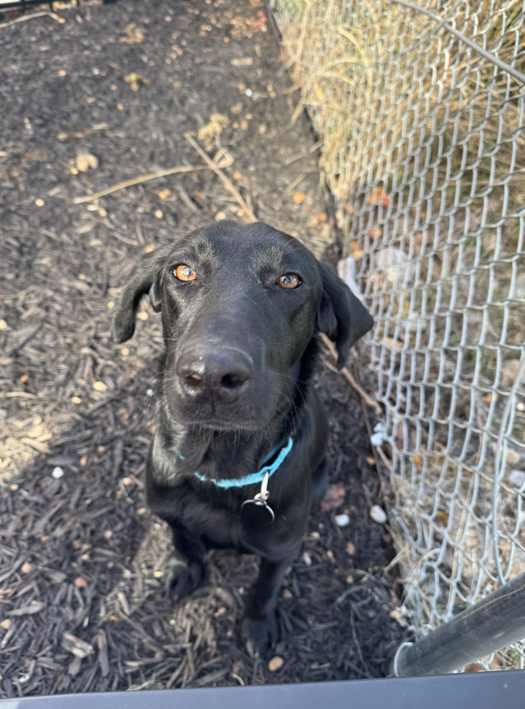 Screenshot 2025-11-18 at 2.41.44 PM.png