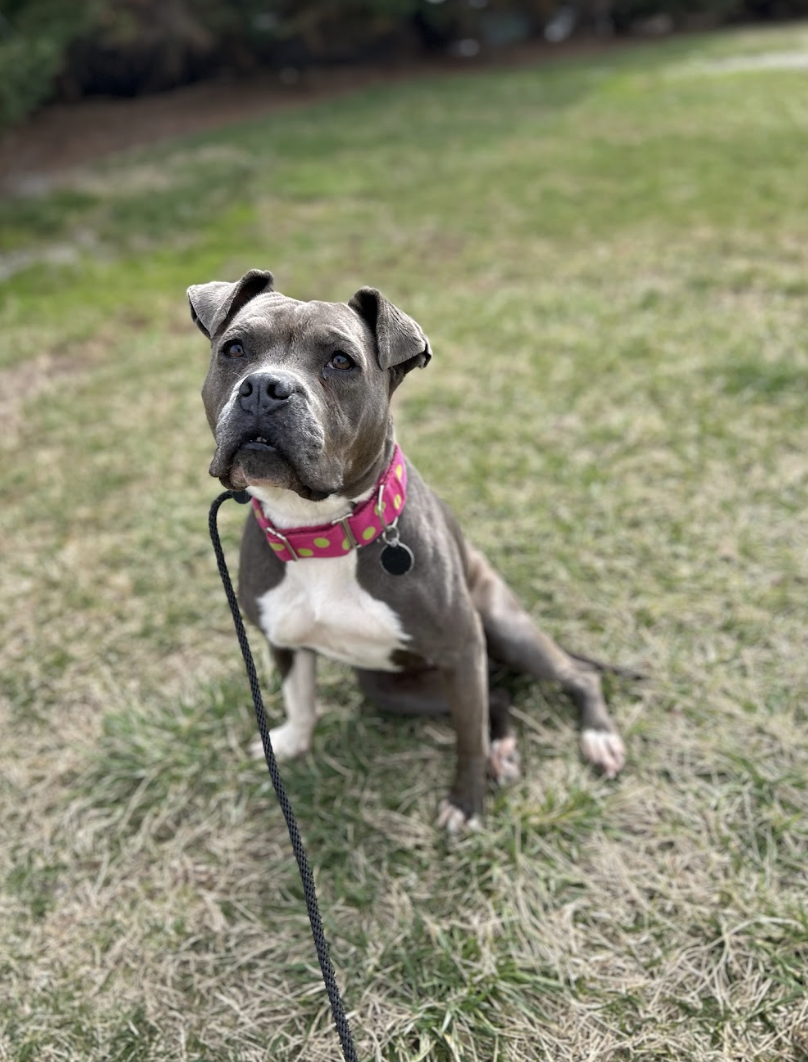 Screenshot 2026-02-25 at 12.59.22 PM.png