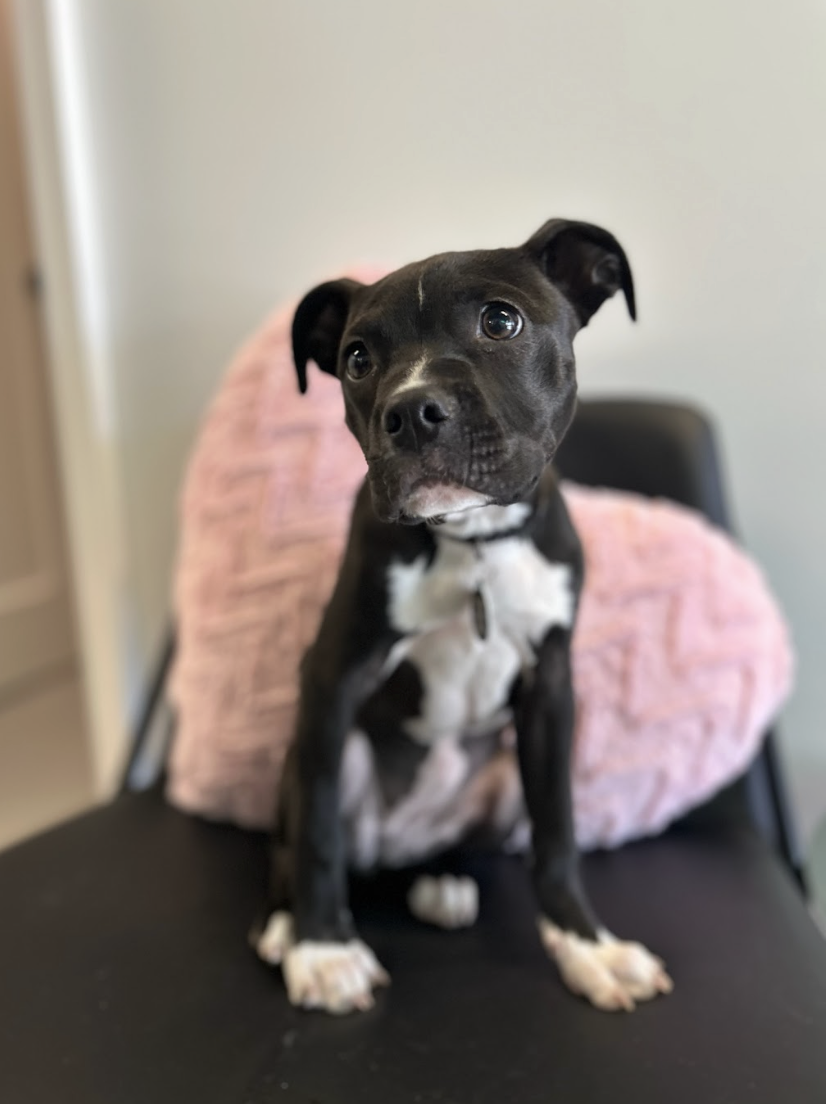 Screenshot 2026-01-13 at 4.00.25 PM.png