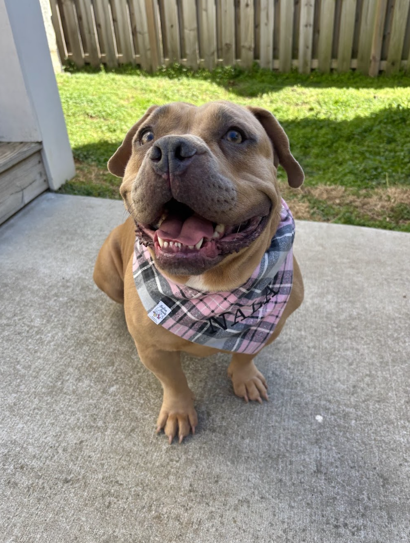 Screenshot 2026-02-26 at 2.24.49 PM.png