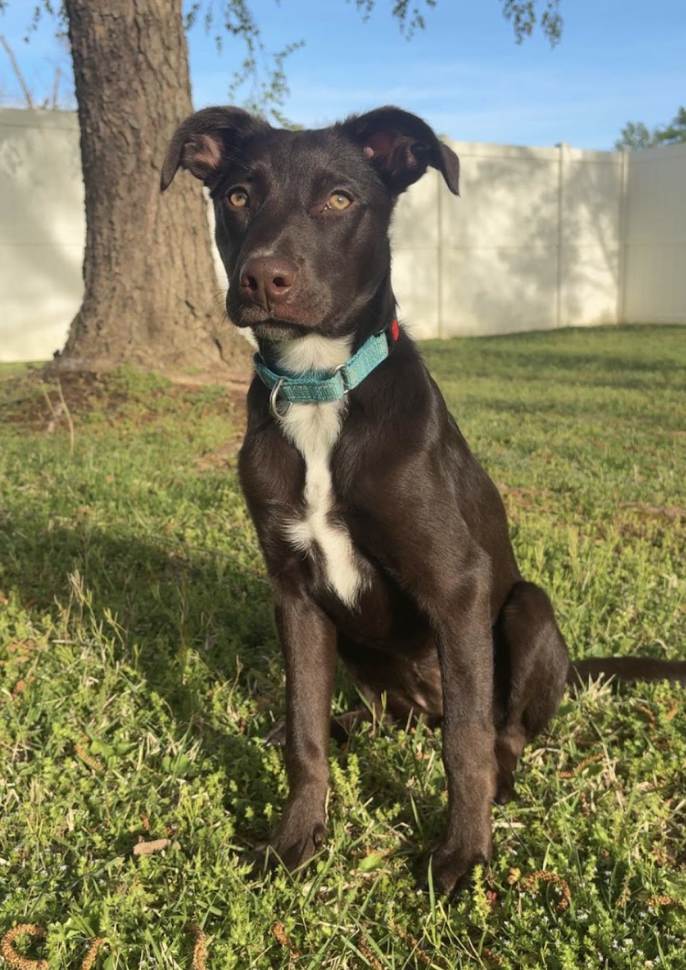 Screenshot 2026-04-23 at 7.45.58 PM.png