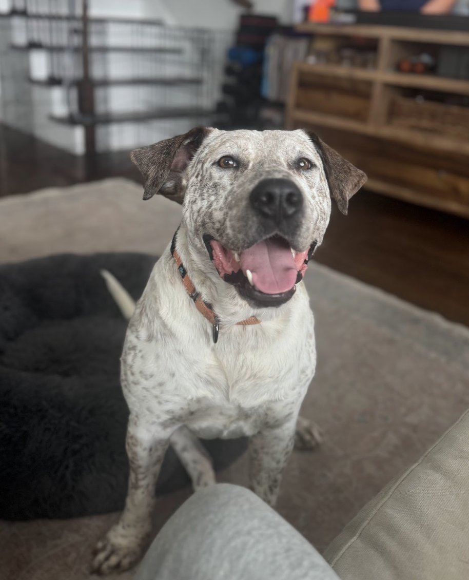 Screenshot 2026-03-10 at 9.23.48 PM.png