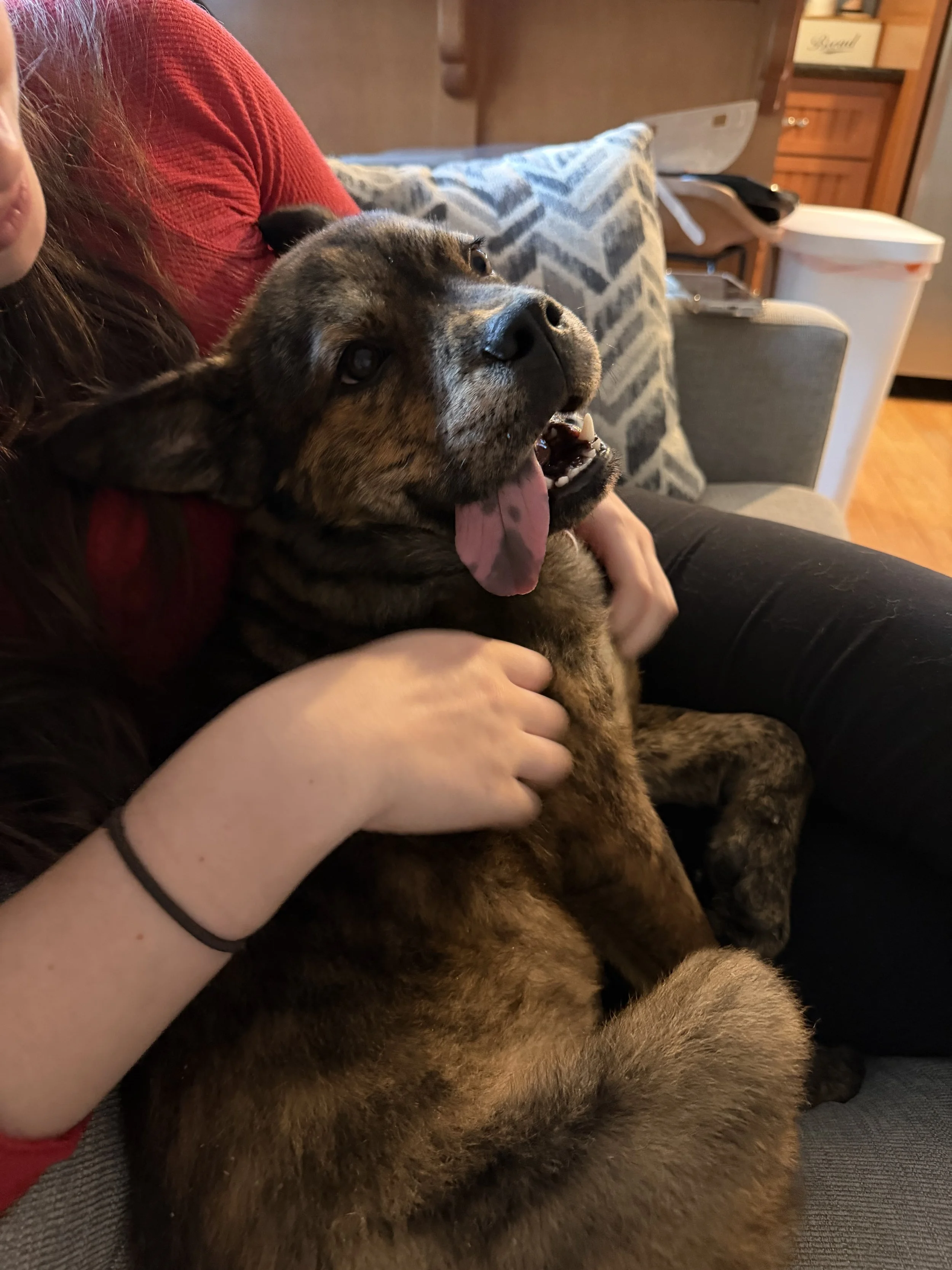 IMG_5944.jpg