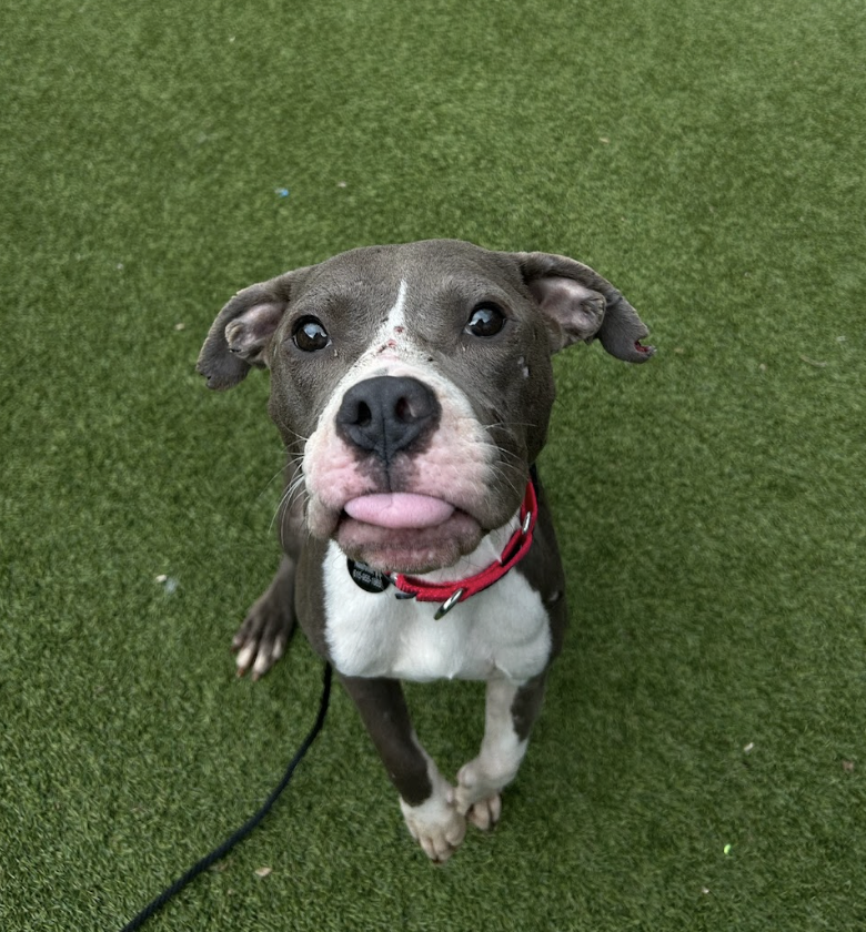 Screenshot 2026-03-11 at 6.51.30 PM.png