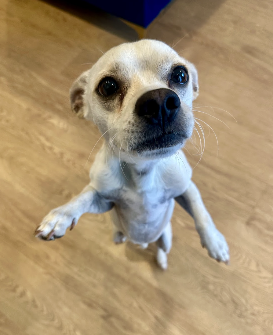 Screenshot 2026-04-22 at 5.12.03 PM.png