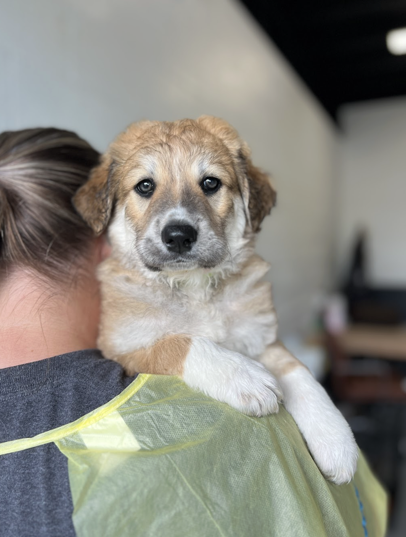 Screenshot 2026-04-16 at 4.15.47 PM.png