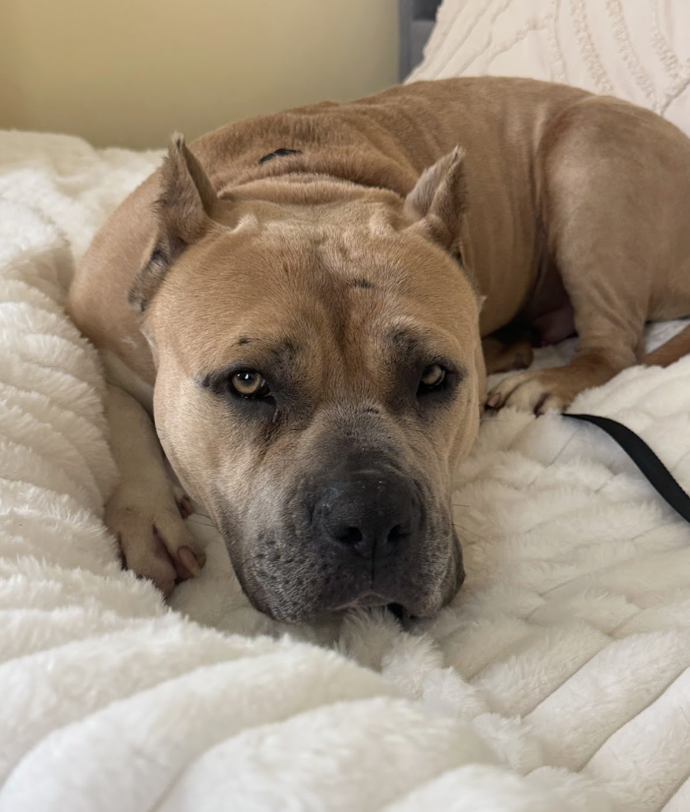 Screenshot 2026-02-07 at 8.11.59 AM.png