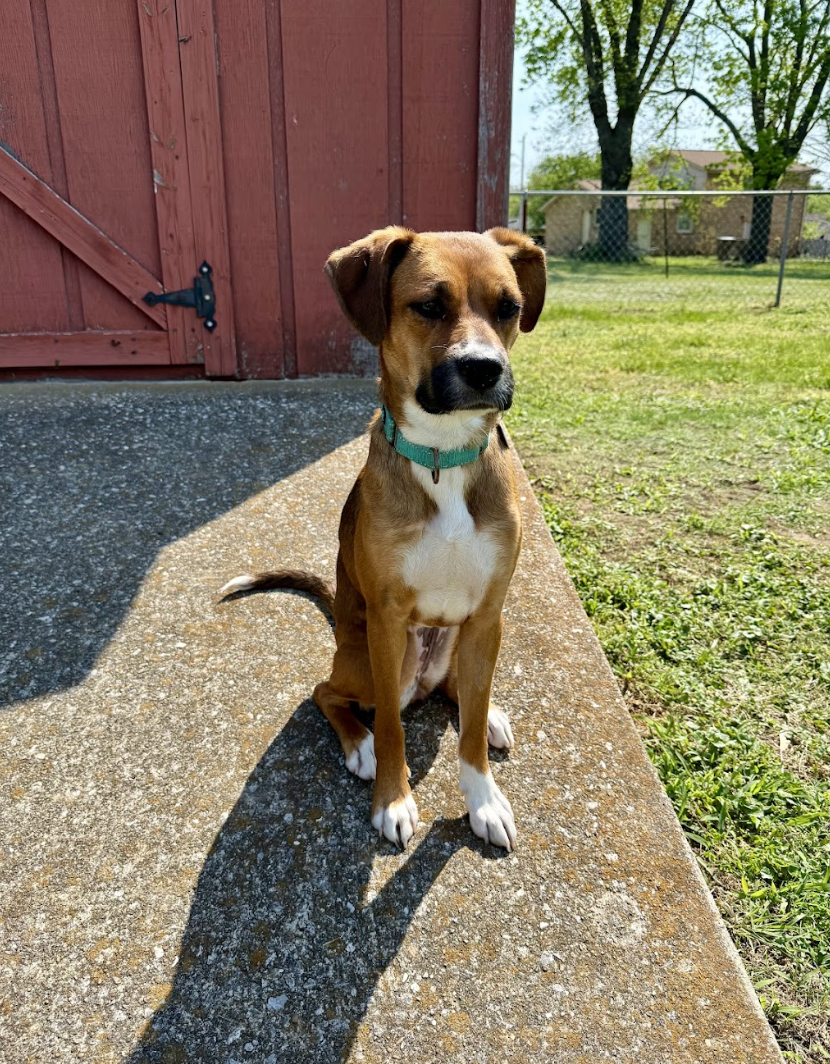 Screenshot 2026-04-13 at 2.55.27 PM.png